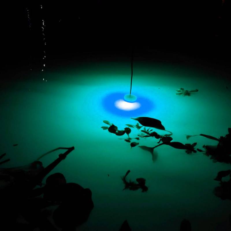 Mini Balıkçılık Cazibe Lambası - Fishing Boat Navigation Light incelemesi ve fiyatı